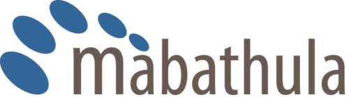mabathula.co.za